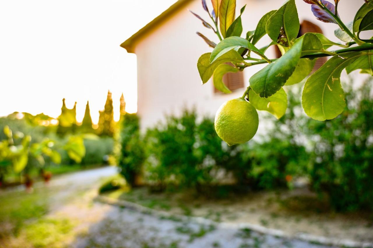 B&B Villa Giulia Saturnia Buitenkant foto